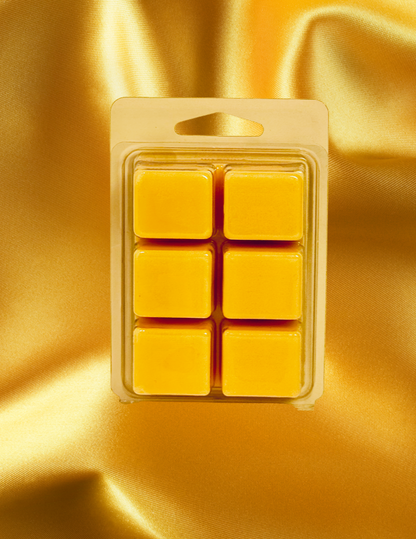 Crafted by a scripture-inspired ministry, the Salt & Light wax melt from the Verses of Light Collection blends premium coconut soy wax with fragrant oils to gently fill your space with encouragement, peace, and faith-filled aroma.